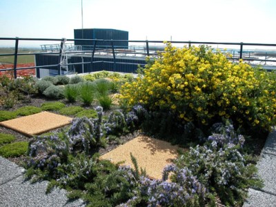 Tejado ajardinado aislante