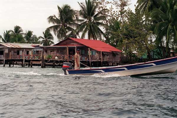Emerald Monkey, Isla Pastor (Panamá)