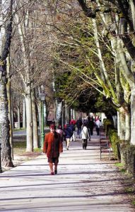 Parque de La Isla, Burgos