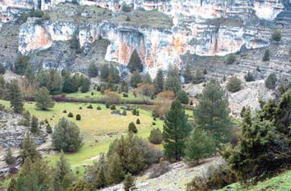 Ucero, Soria (España)  Testimonio Templario