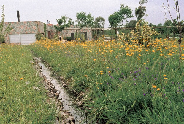 Paisajismo diseñado mediante principios de Permacultura