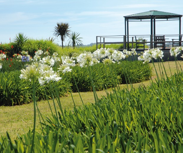 poesiacotidiana_946397 Un viejo tanque australiano es un mirador en altura