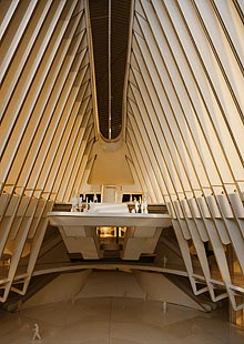 Imagen del proyecto.| Miguel Rajmil