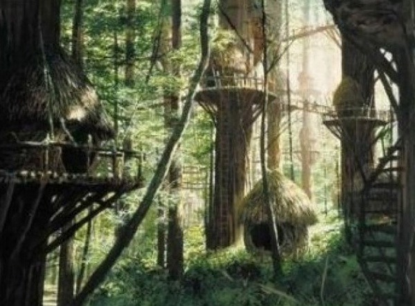 Villa del Árbol Brillante, Endor