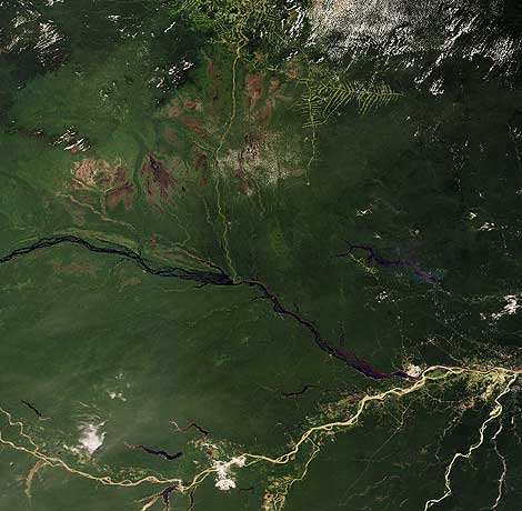 Amazonas_satelite_1243846973_0 El rio Amazonas visto por el satélite Envisat. | ESA