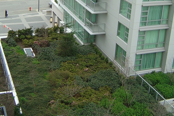 Un ejemplo de techo verde instalado en el hotel Marriott Hotel de Victoria, Canadá Foto: Gentileza pnwra / Flickr