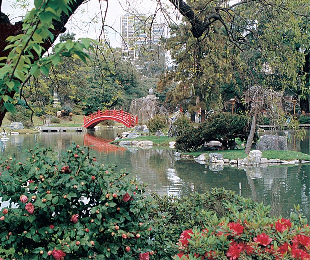 jardinjapones_1055531