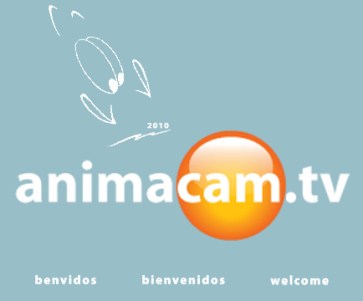 animacam_tv