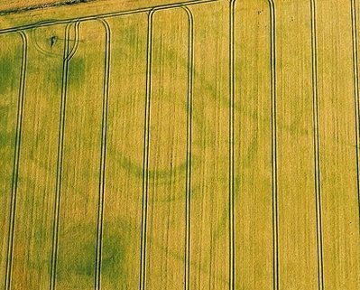 Siluetas de las edificaciones ocultas bajo el sembrado (Cuaderno de Ciencias)