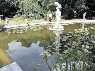 SENSUAL. LA PRIMAVERA MIRA SU IMAGEN EN EL AGUA DE LA FUENTE, EN EL CAMINO DE INGRESO DEL JARDIN BOTANICO. Clarín.com