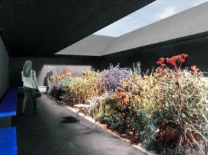 Imagen: Inhabitat - inhabitat.com