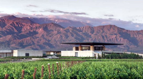 El techo de O Fournier sirve como sombrilla para la época de vendimia. LosAndes on line