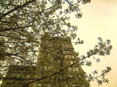 By flickr user rasdourian under Creative Commons - Culturing Science