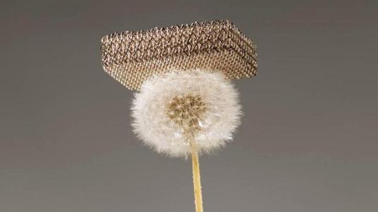 EFE / DAN LITTLE - ABC.,es