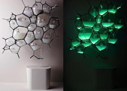 bioluz--644x460 Philips - El líquido de aspecto lechoso en las «células» se convierte en fuente de luz - ABC.es