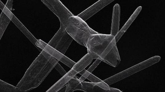 aerografito--644x362 Imagen del nuevo material, el aerografito - Universidad Técnica de Hamburgo / Ciencia ABC.es