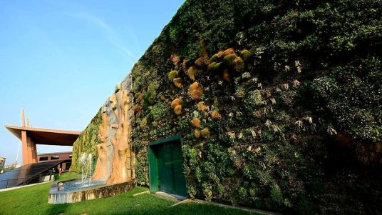 The largest vertical garden in the world on a shopping mall facade in the town of Rozzano, near Milan / AFP - www.news.com.au