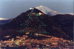 Gubbio tree goes green