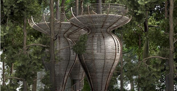 ecologíaverde.com / casas.excite.es